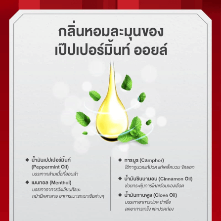 ยาหม่องน้ำ เซียงเพียว สูตร 2 ขนาด 25 ซีซี จำนวน 1 ชิ้น_2